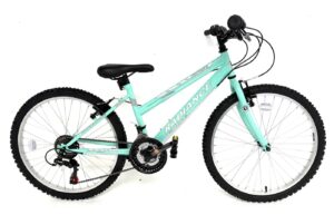 Ignite Radiance Mint 24"