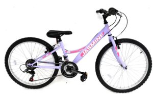 Ignite Jasmine 24"